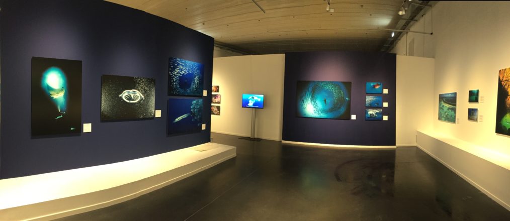 Musee mer marine national geographic