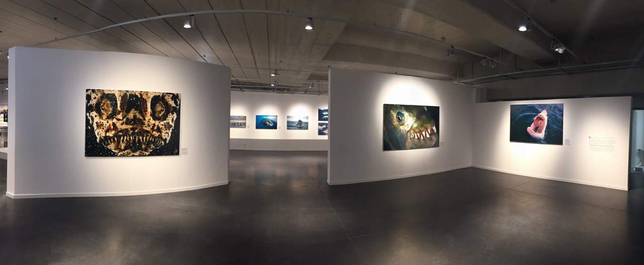 musee-mer-marine-monstre-marin